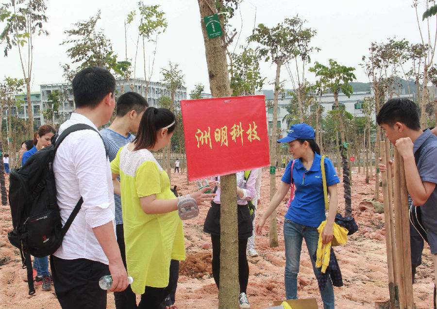 洲明科技植树